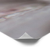 Witte Kat Poster (Hoek)