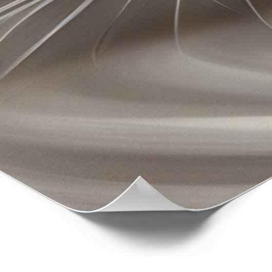 Witte kat. poster (Hoek)