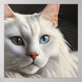 Witte kat. poster (Voorkant)