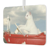 Witte kat rijdt in een auto luchtverfrisser (Links)