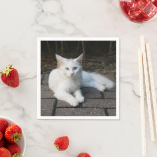 Witte kat servet