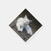 Witte kat servet (Hoek)