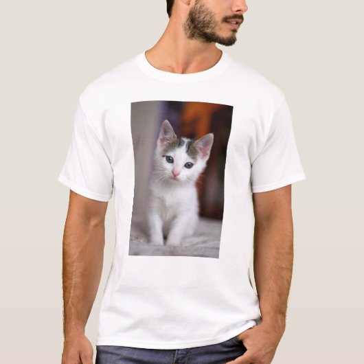 Witte Kat T-shirt (Voorkant)