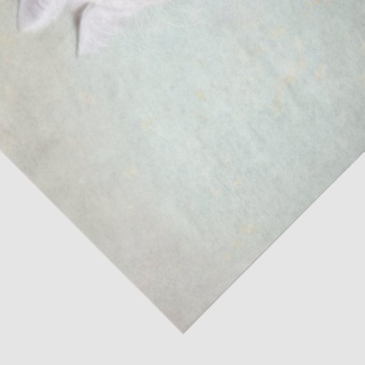 Witte kat tissuepapier (Detail)