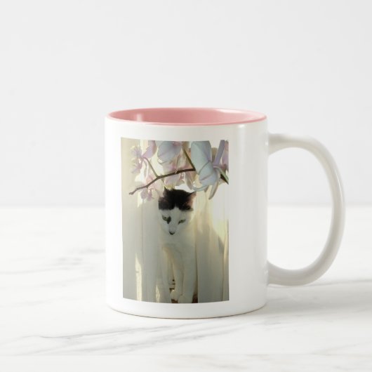 witte kat tweekleurige koffiemok (Rechts)