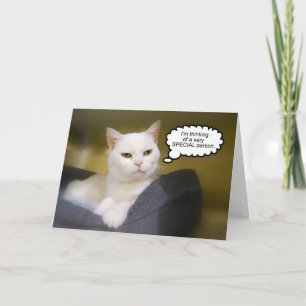 Witte Kat Verjaardag Humor Kaart