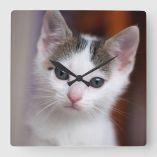 Witte Kat Vierkante Klok