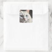 Witte kat vierkante sticker (Tas)