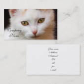 Witte kat visitekaartje (Voorkant / Achterkant)