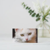 Witte kat visitekaartje (Staand voorkant)