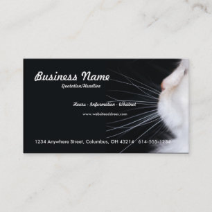 Witte kat Visitekaartje