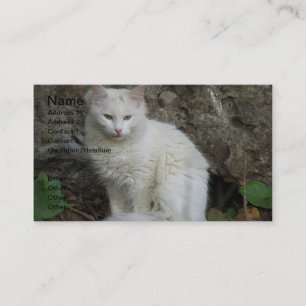 Witte kat Visitekaartje