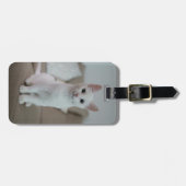 Witte kat | Zazzle_Growshop. Bagagelabel (Voorkant horizontaal)