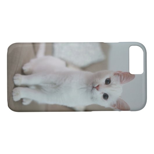 Witte kat | Zazzle_Growshop. Case-Mate iPhone Case (Achterkant (Horizontaal))