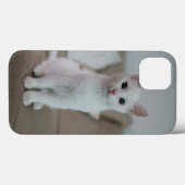 Witte kat | Zazzle_Growshop. Case-Mate iPhone Case (Achterkant (horizontaal))