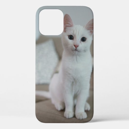 witte kat | Zazzle_Growshop. Case-Mate iPhone Case (Achterkant)