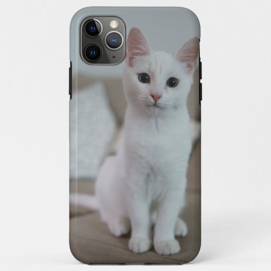 Witte kat | Zazzle_Growshop. Case-Mate iPhone Case (Achterkant)