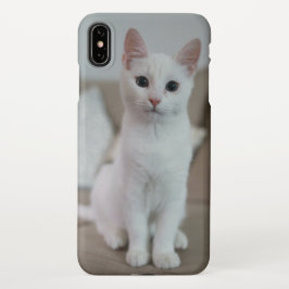Witte kat | Zazzle_Growshop. iPhone XS Max Hoesje