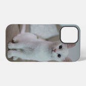 witte kat | Zazzle_Growshop. iPhone Hoesje (Achterkant horizontaal)