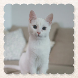 Witte kat Zazzle_Growshop. Kartonnen Onderzetters