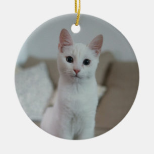 Witte kat   Zazzle_Growshop. Keramisch Ornament