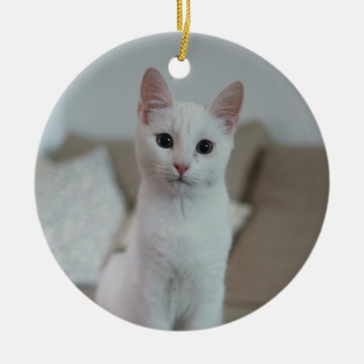 Witte kat | Zazzle_Growshop. Keramisch Ornament (Voorkant)