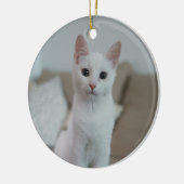 Witte kat | Zazzle_Growshop. Keramisch Ornament (Links)