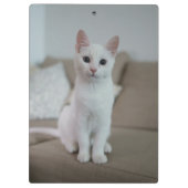 Witte kat | Zazzle_Growshop. Klembord (Achterkant)