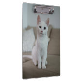 Witte kat | Zazzle_Growshop. Klembord (Rechts)
