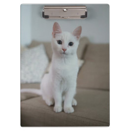 Witte kat | Zazzle_Growshop. Klembord