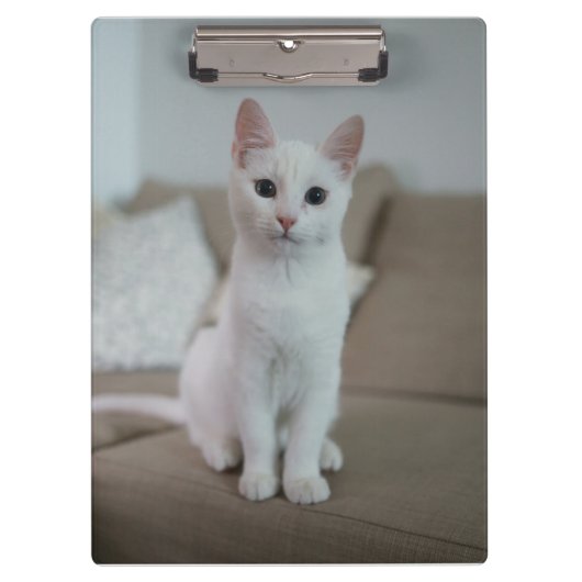 Witte kat | Zazzle_Growshop. Klembord (Voorkant)
