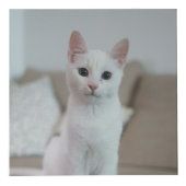 Witte kat | Zazzle_Growshop. Kubus (Rechts)