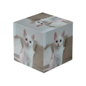 Witte kat | Zazzle_Growshop. Kubus (Achter hoekig)
