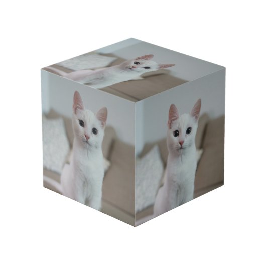 Witte kat | Zazzle_Growshop. Kubus (Voorkant hoekig)