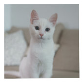 Witte kat | Zazzle_Growshop. Kubus (Voorkant)