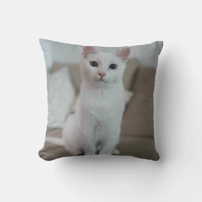 Witte kat | Zazzle_Growshop. Kussen (Voorkant)