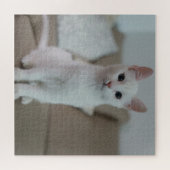 Witte kat | Zazzle_Growshop. Legpuzzel (Horizontaal)