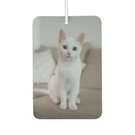 Witte kat | Zazzle_Growshop. Luchtverfrisser
