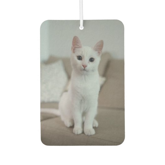 Witte kat | Zazzle_Growshop. Luchtverfrisser (Voorkant)