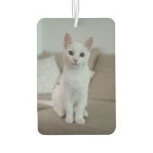 Witte kat | Zazzle_Growshop. Luchtverfrisser (Achterkant)