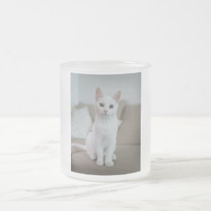 Witte kat   Zazzle_Growshop. Matglas Koffiemok