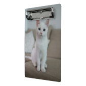 Witte kat | Zazzle_Growshop. Mini Klembord (Angled2)