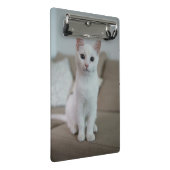 Witte kat | Zazzle_Growshop. Mini Klembord (Schuin)