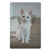 Witte kat | Zazzle_Growshop. Mini Klembord (Achterkant)