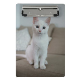 Witte kat | Zazzle_Growshop. Mini Klembord