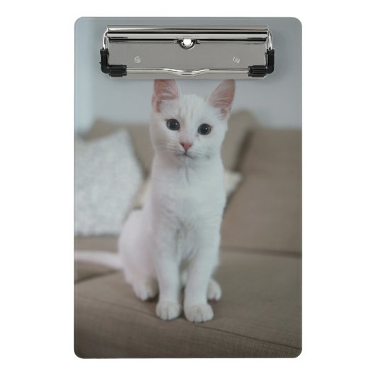 Witte kat | Zazzle_Growshop. Mini Klembord (Voorkant)