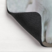 Witte kat | Zazzle_Growshop. Muismat (Hoek)