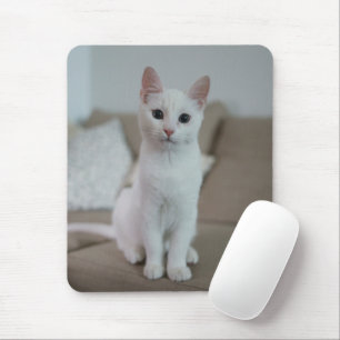 Witte kat Zazzle_Growshop. Muismat