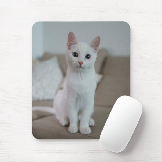 Witte kat | Zazzle_Growshop. Muismat (Met muis)