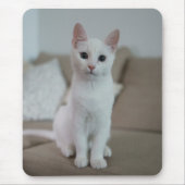 Witte kat | Zazzle_Growshop. Muismat (Voorkant)